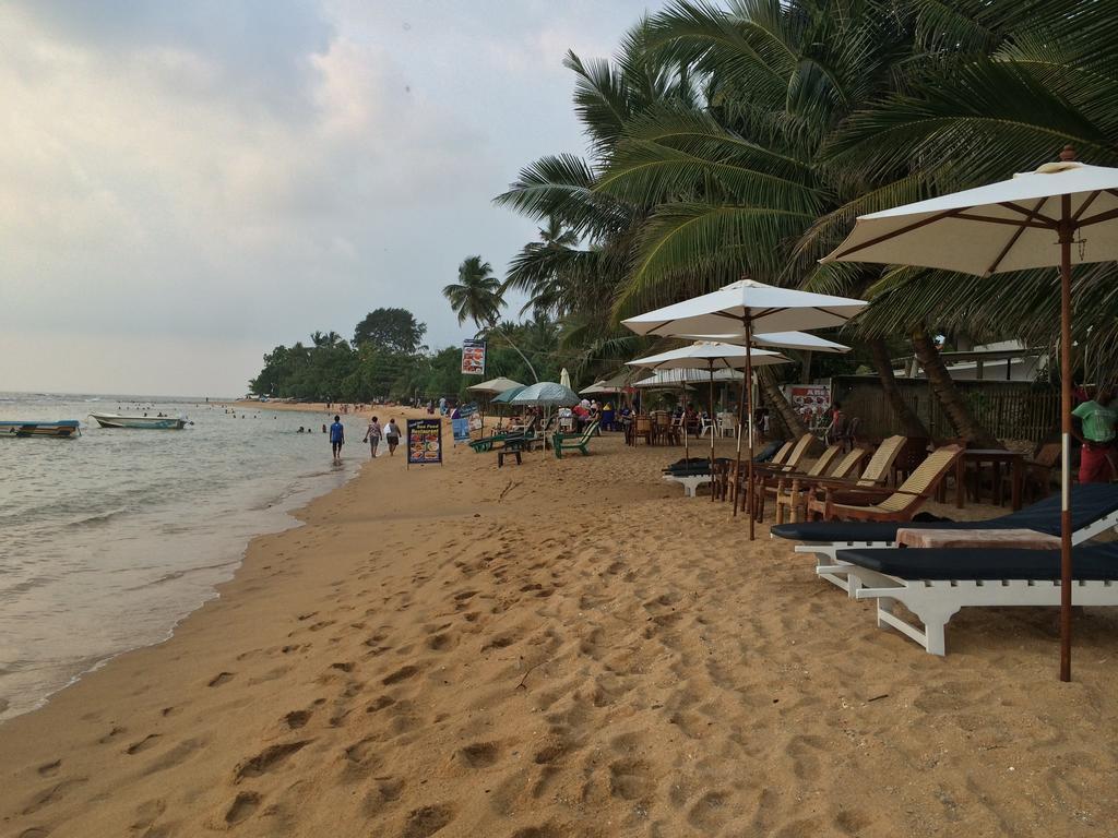 Hotel Coconut Bar Sea Lodge Берувала Экстерьер фото